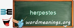 WordMeaning blackboard for herpestes